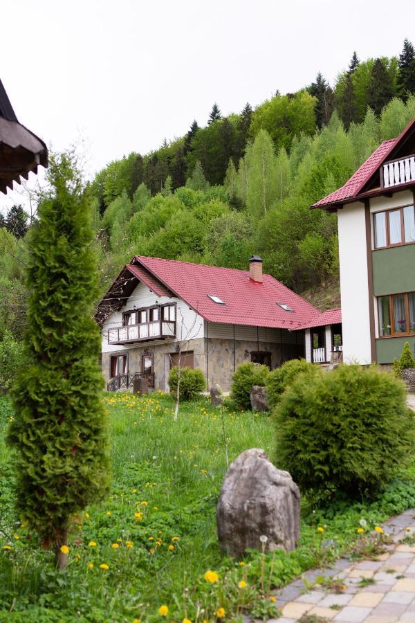 Kamyanka Villa Jaremtje Exteriör bild